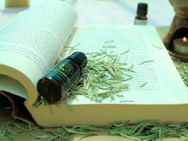 Rosemary essential oil for learning, concentration and focus
